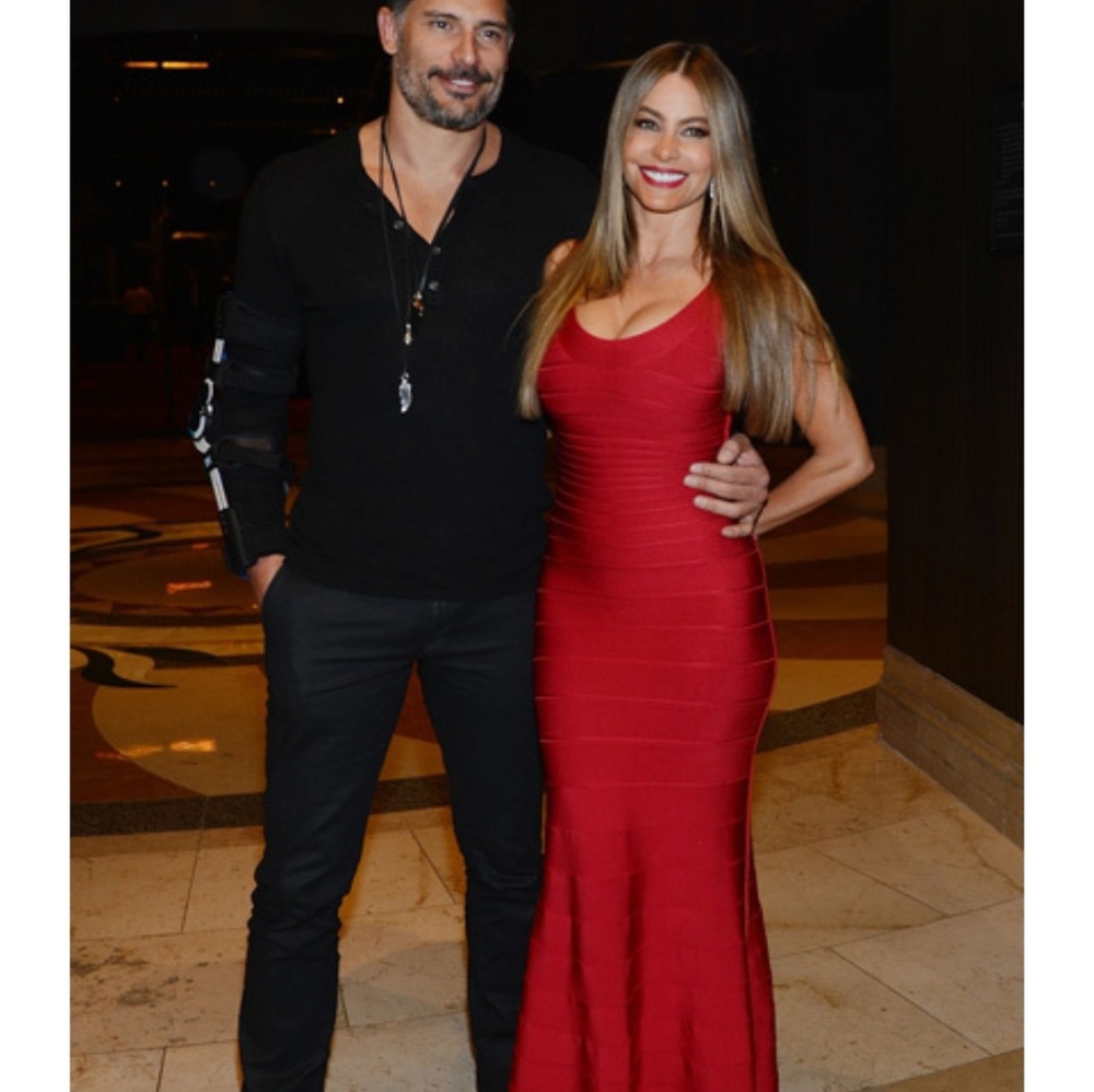 Herve Leger Ellen Gown